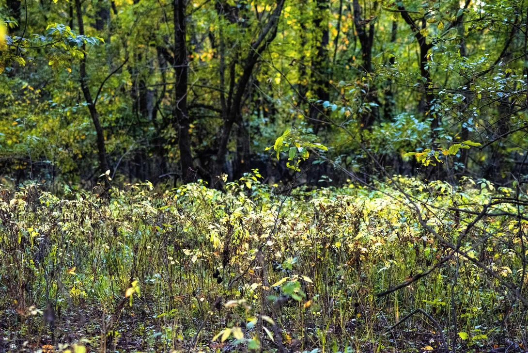 View a6e6d55f854189698aab000174f1d507.jpg by Andrew Williams