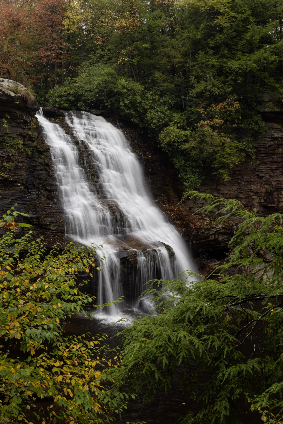 View ddbedbf5929c295878645c6d19b58cba.jpg by Griffin Barnett