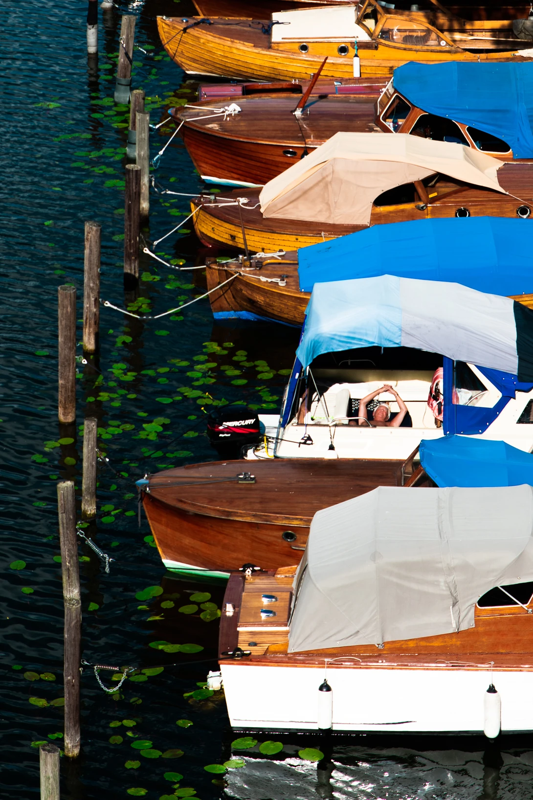 View Sleeper at the Docks by Julian McIntosh