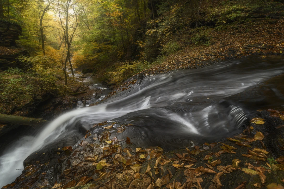 View f0b844451d2a975fd72c3cc59a8c7724.jpg by joseph cole