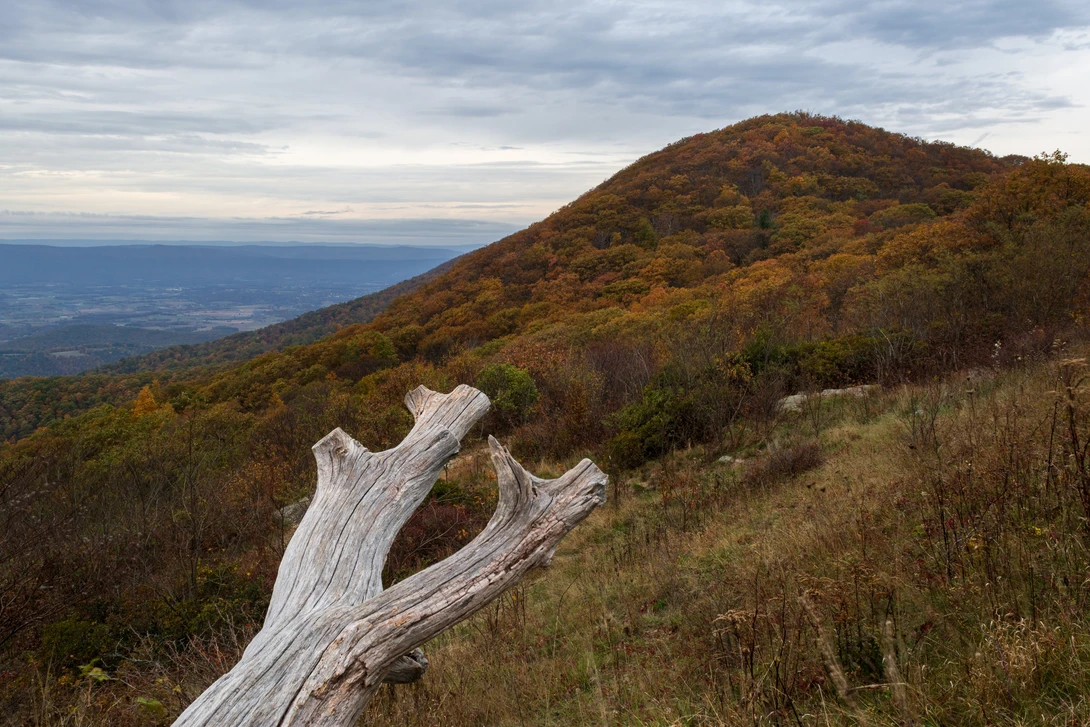 View ffbcae2f60e9bafa4d302972befdeb7e.jpg by Griffin Barnett