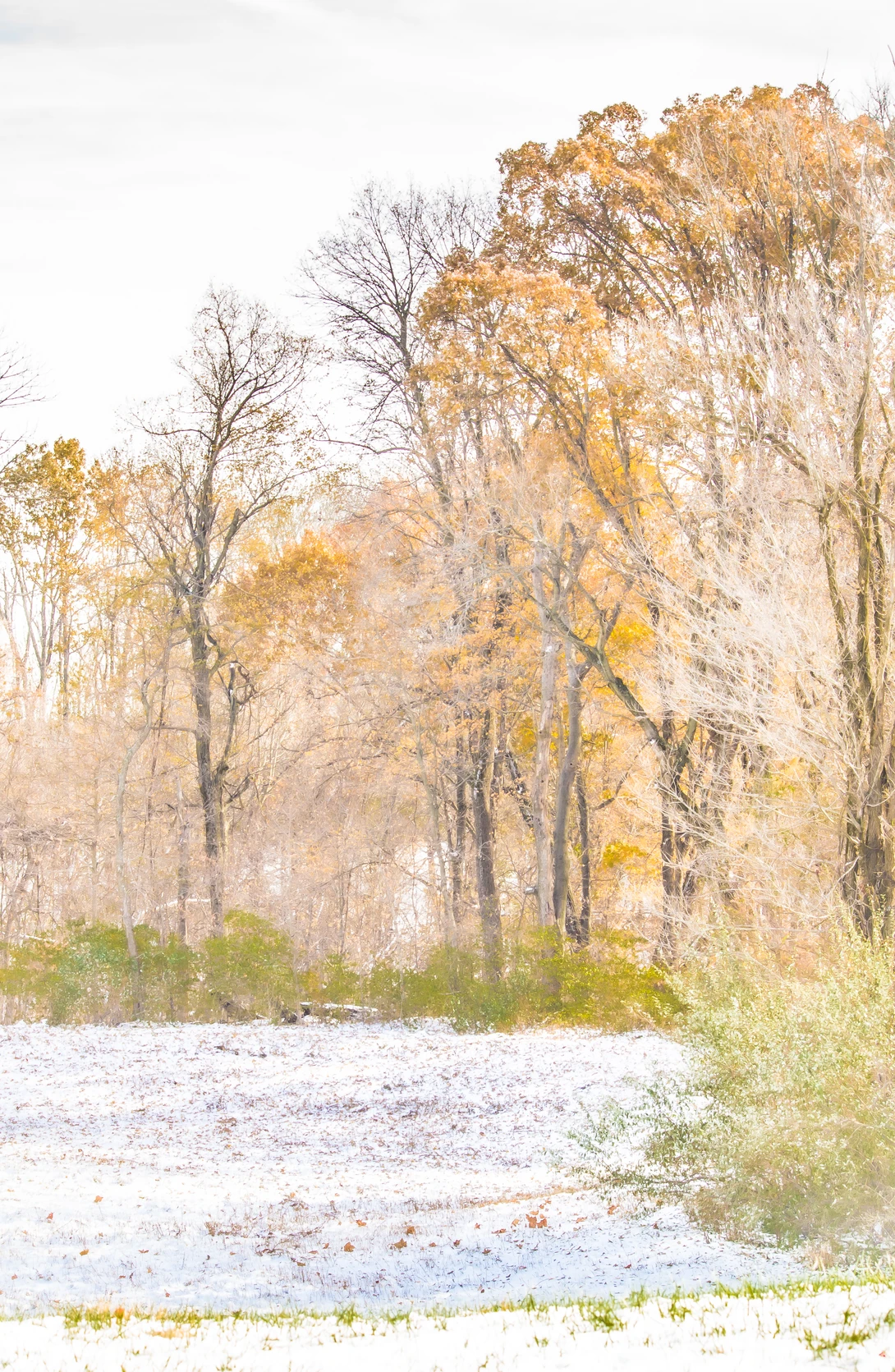 View 0511c12d3269570a0a384e4dafd0c61a.jpg by Alison Pascal