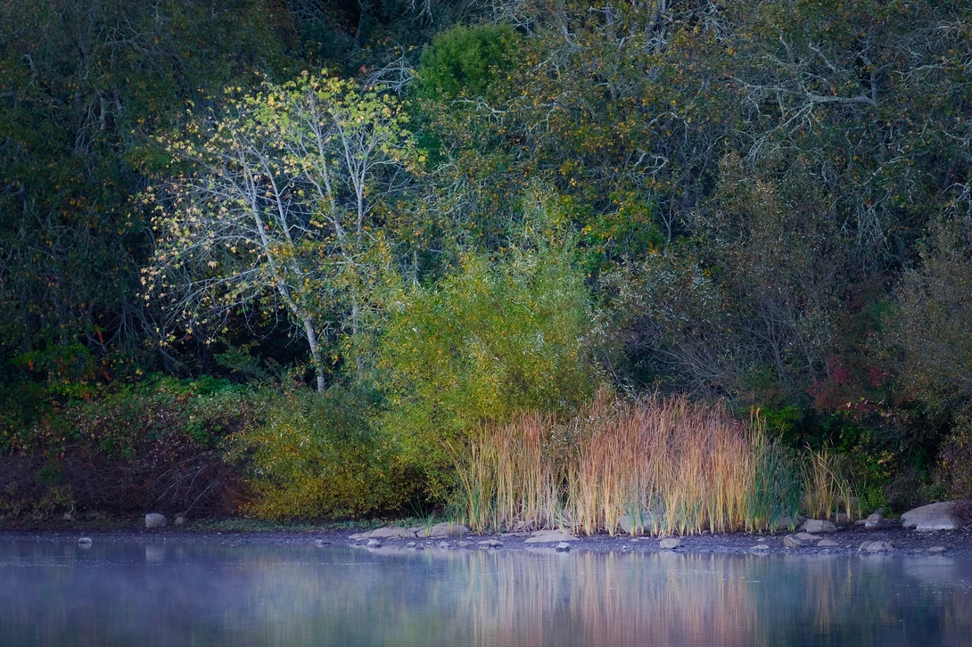 View 1264a2d5d2188e7c6541f8186d1eb34e.jpg by Ray Zee