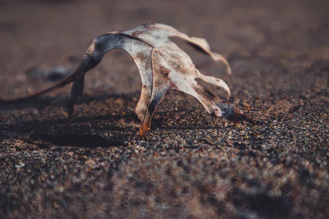 View 278402c5b86fdb115655b42a4a98fc00.jpg by Alison Pascal