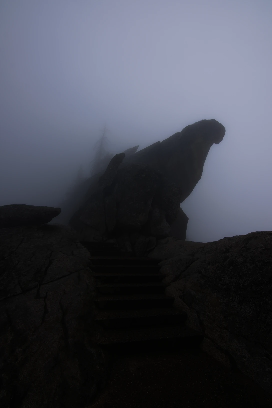 View 3214466e33b65dd1e7fa8ed0961864fa.jpg by Kristopher Schmidt