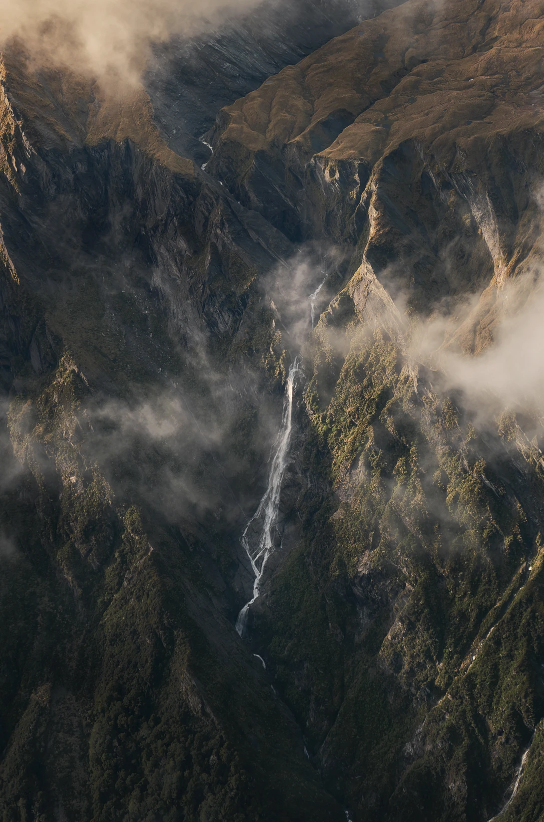 View 3631e35f148a84a1946b3d7a137c6f3d.jpeg by Stephen Vincent-Grace