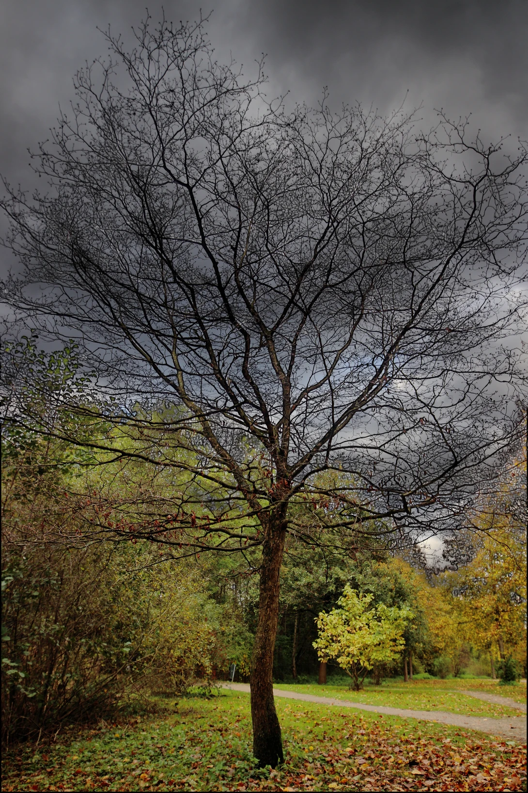 View 36d2a10e2a6f5059783e7fdfa7e55274.jpg by Ian Luyten