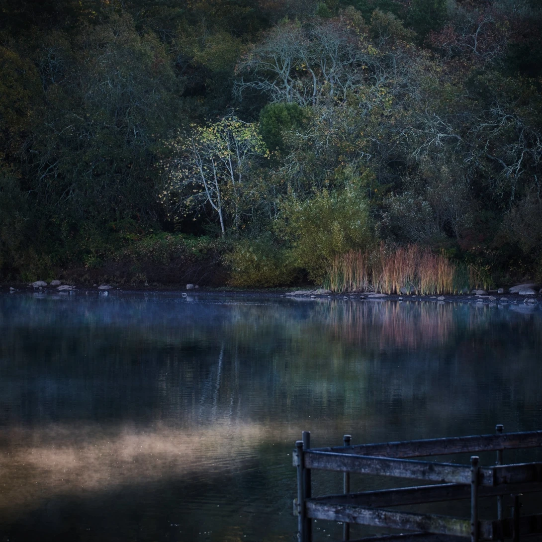 View 38292fedd5908461bf250c38c2549ced.jpg by Ray Zee