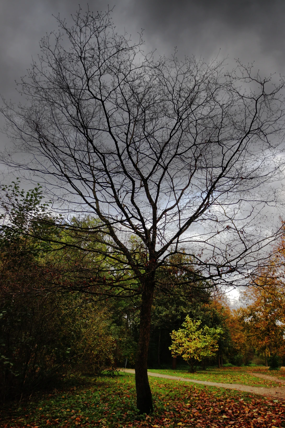 View 54691e919884f2f2bc8e7eb764b88a0f.jpg by Ian Luyten