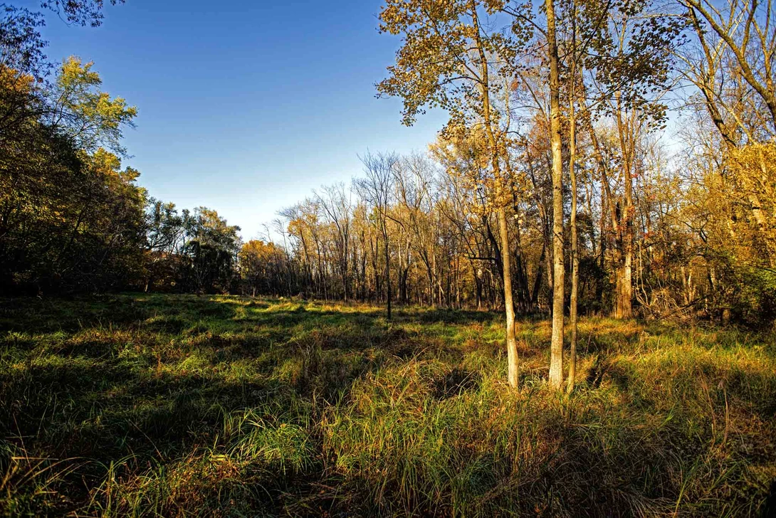 View 5a4982d2c904ffffbced0c2ae77e6fdd.jpg by Andrew Williams