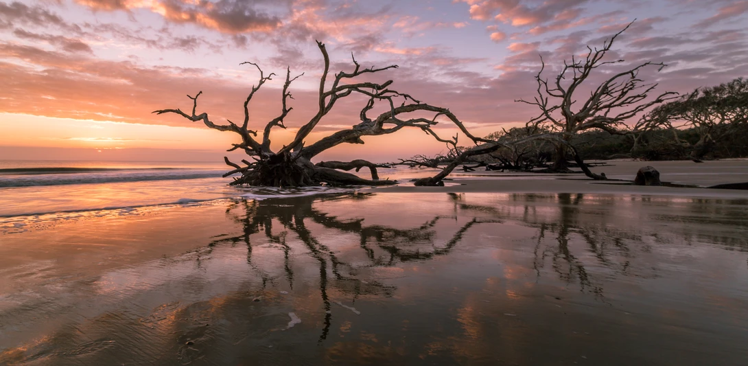 View 69d591a4fed372602b9813476b3d5468.jpg by Derek Bradley