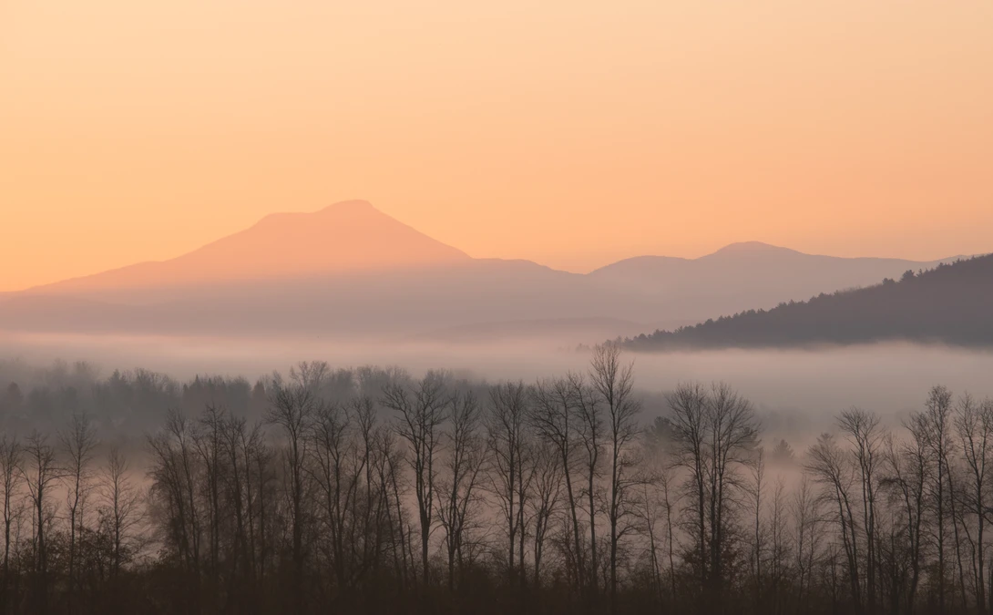 View 7a525d7e6516b71fd62363275e6c6e45.jpg by Alan Brown