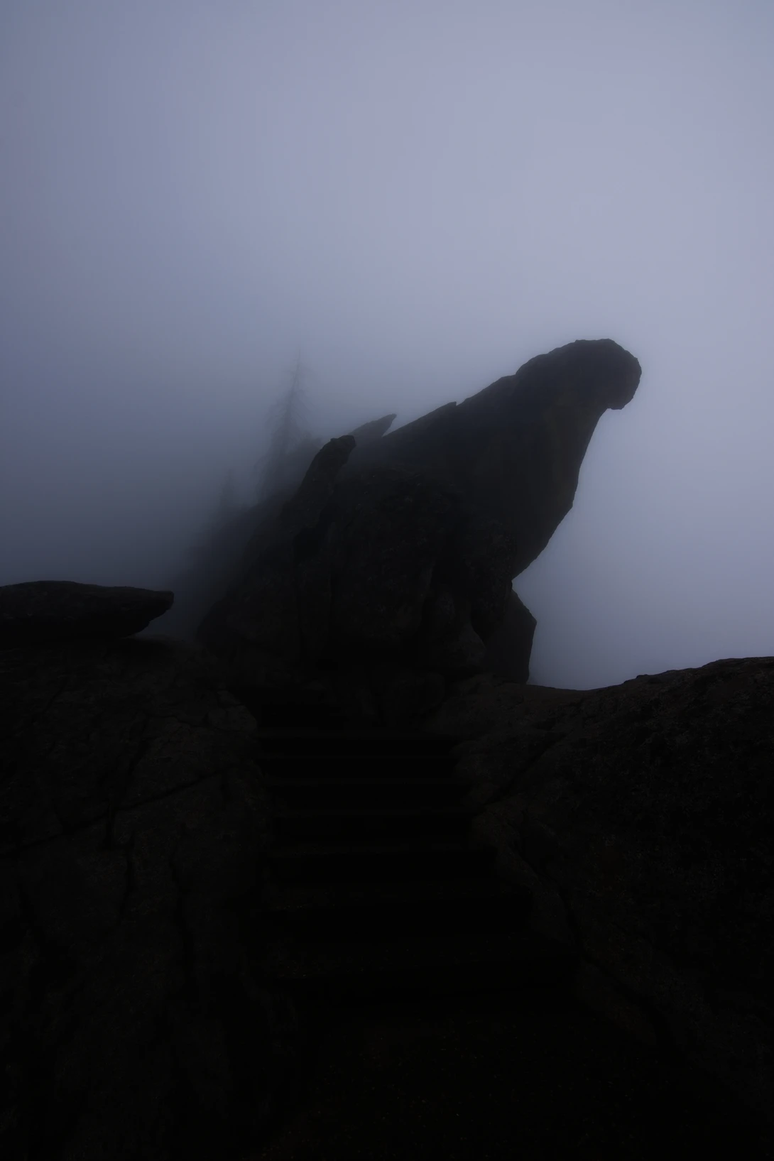 View 8055f0084d7943d1976193f858d115e7.jpg by Kristopher Schmidt