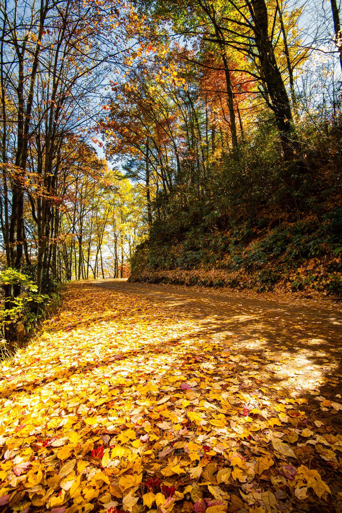 View 8b1da64d38c6bcbcd4542218db98b76a.jpg by Mark Guinn