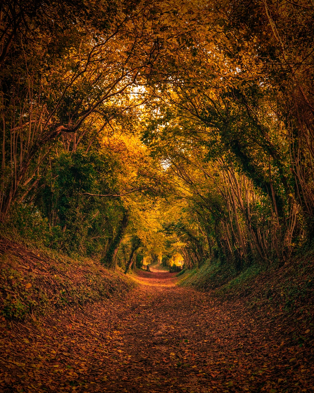 View 95c0c7dc61bb55d76890f25a257d7f6b.jpg by Mark Rowe