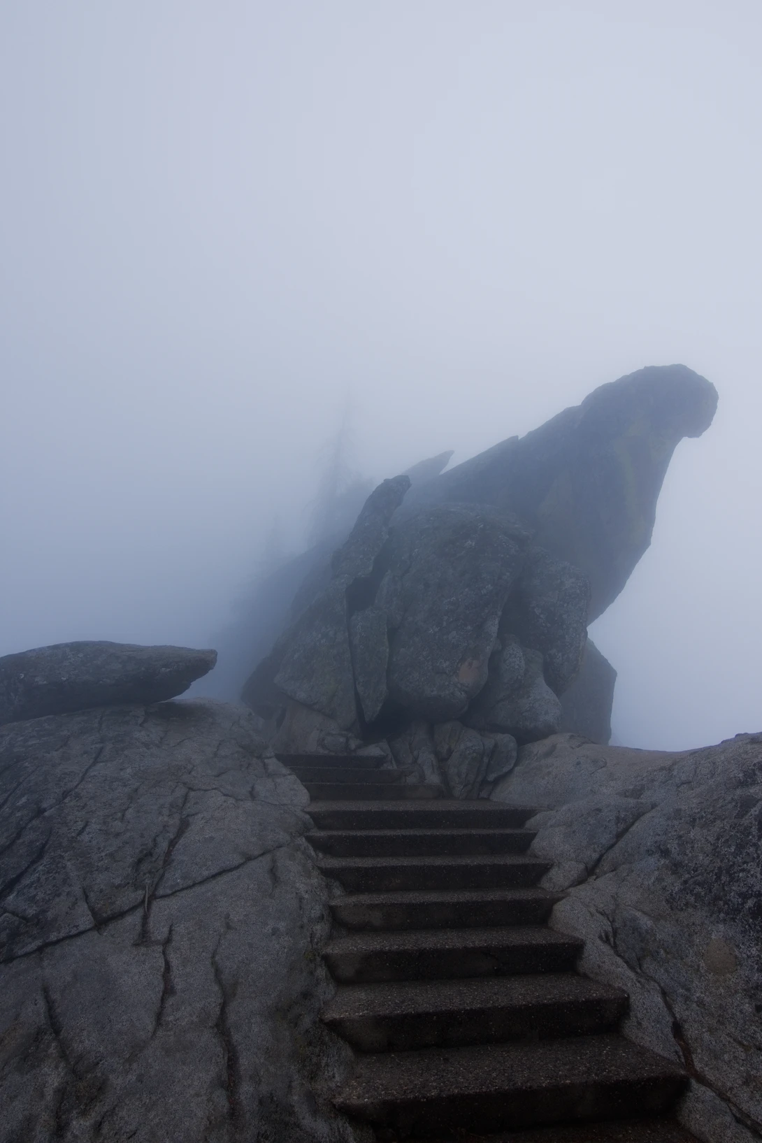 View 9d559be7ce0fe08ed8dd0fc41893dea5.jpg by Kristopher Schmidt