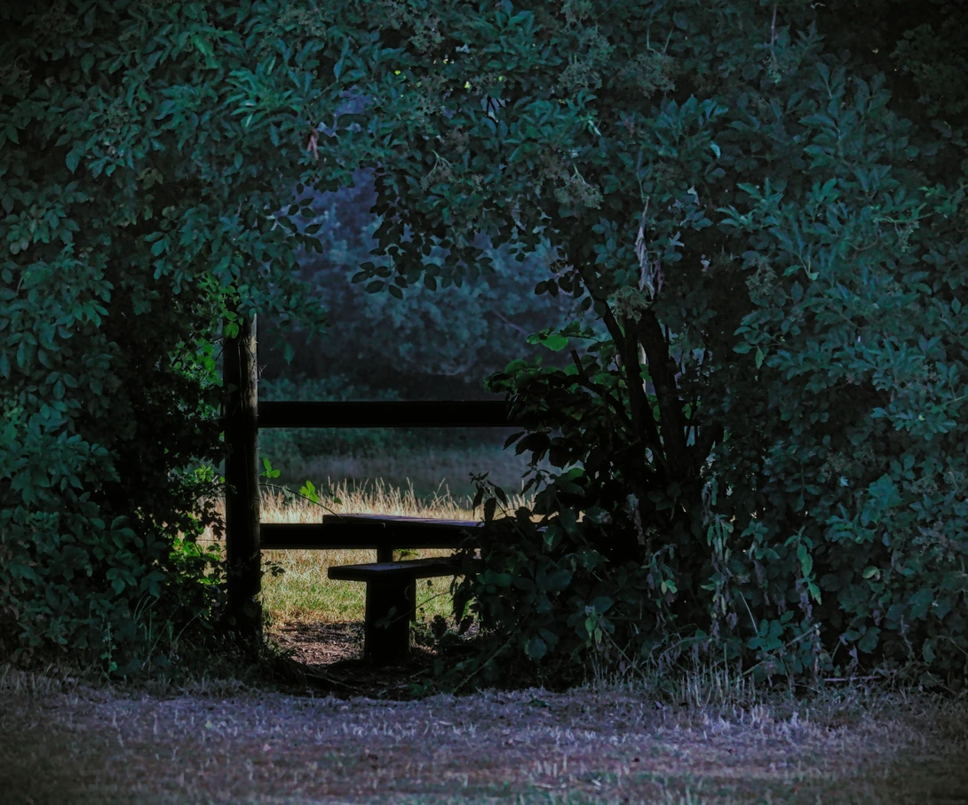 View b3ca39c956cf28eb1777c7f43b72f0e9.jpg by Mike Young