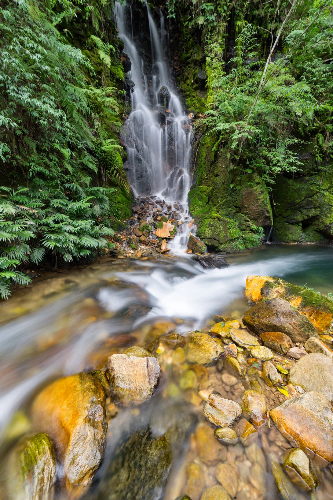 View bb2a2a5d799b133c348b44f86e948f7b.jpg by Alan Oggier