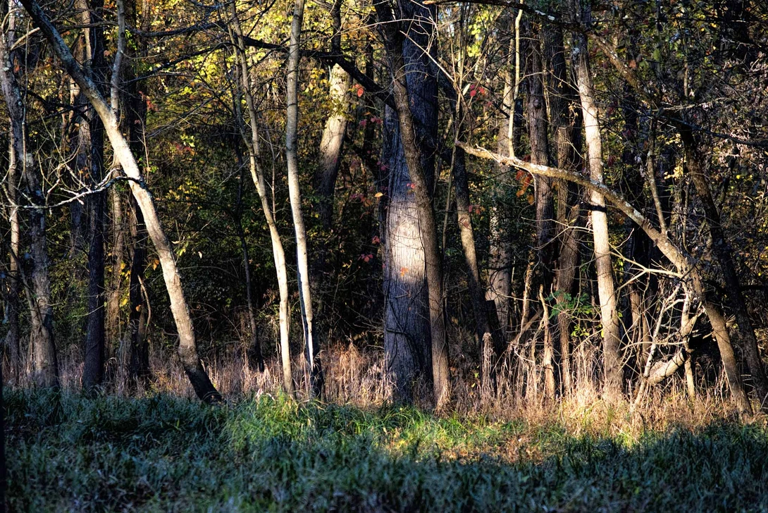View GLT_20191024_1705 by Andrew Williams