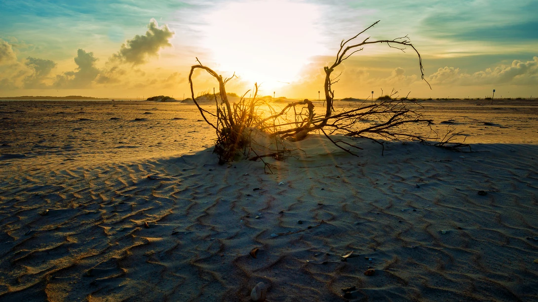 View c1e86ff9f0cfdc7d5f1321b05268d931.jpg by Kyle Foreman