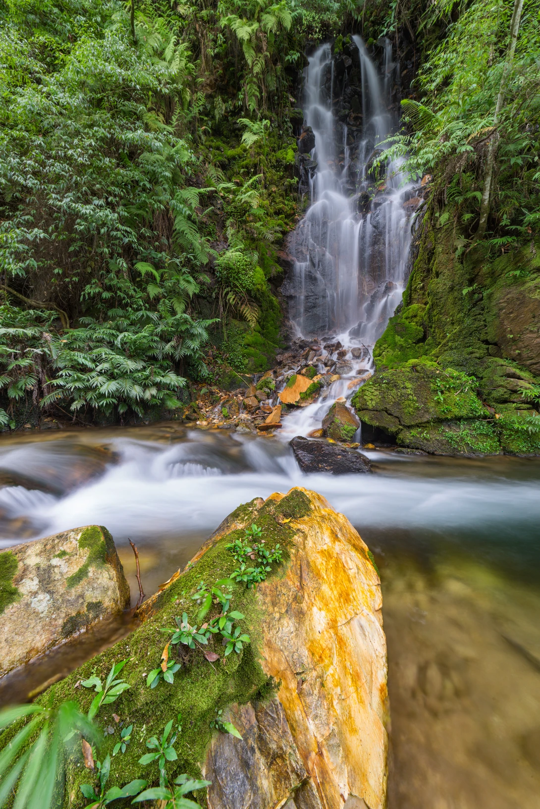 View cc4a2b564126773180c73c918a1d0e0a.jpg by Alan Oggier