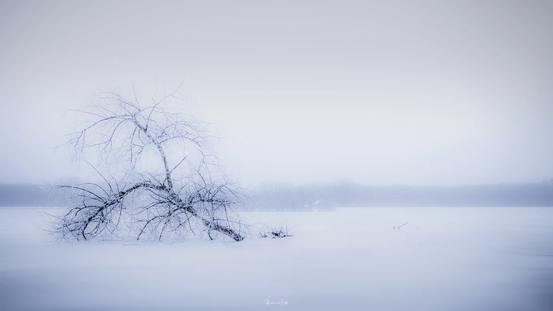 View d699eb5632ffdd5c944fda9649af308d.jpg by marius van dyk