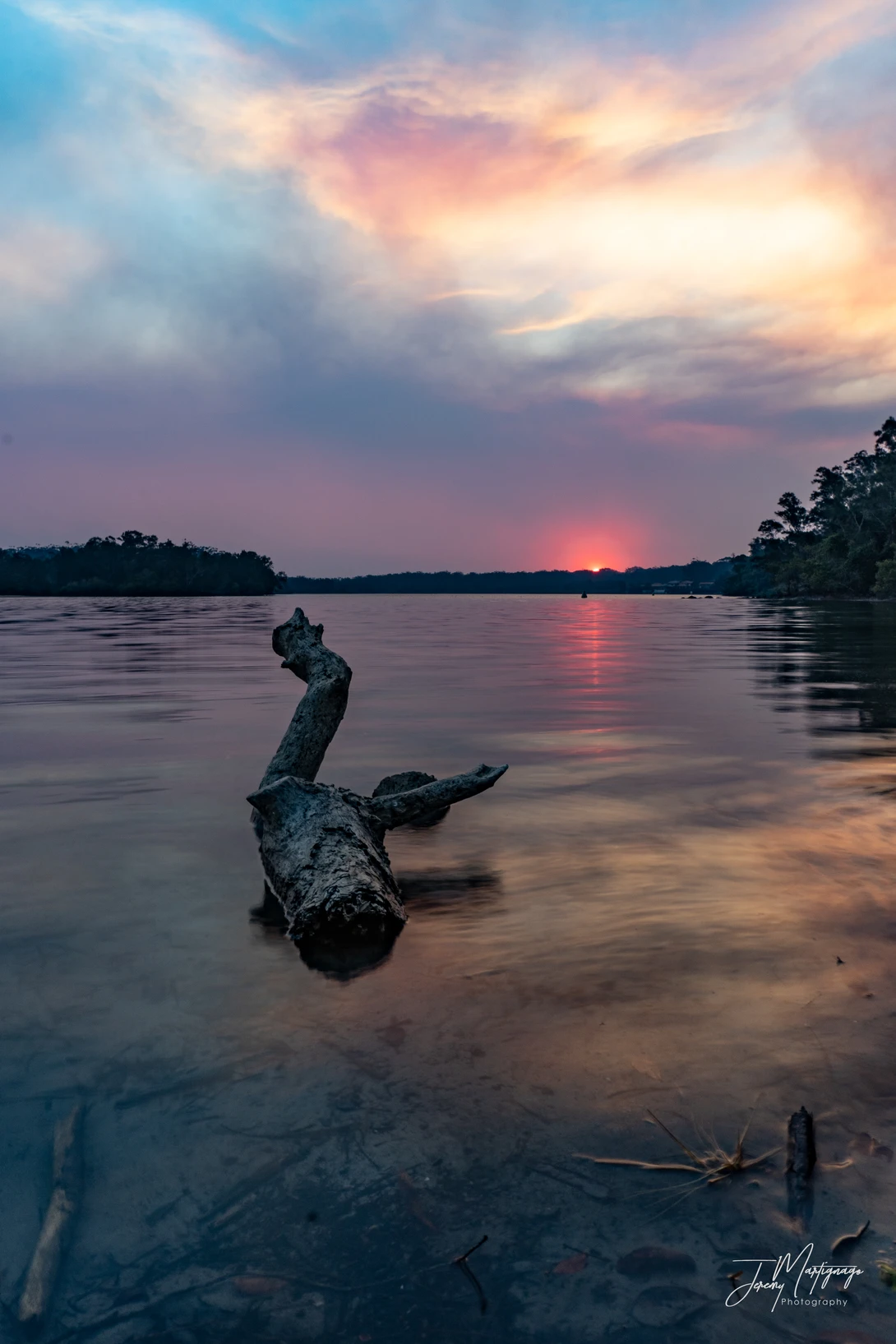 View d740eca823fc19f33e479728c0788ffc.jpg by Jeremy Martignago
