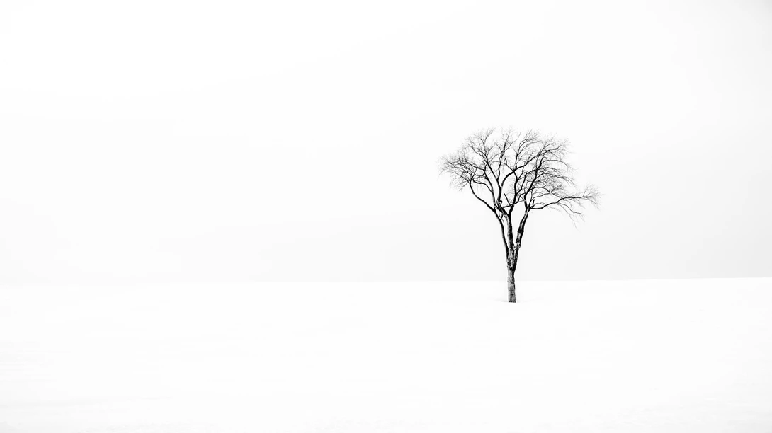View dfe39f7e79c0fc8a2c97a2bfa60dc292.jpeg by marius van dyk