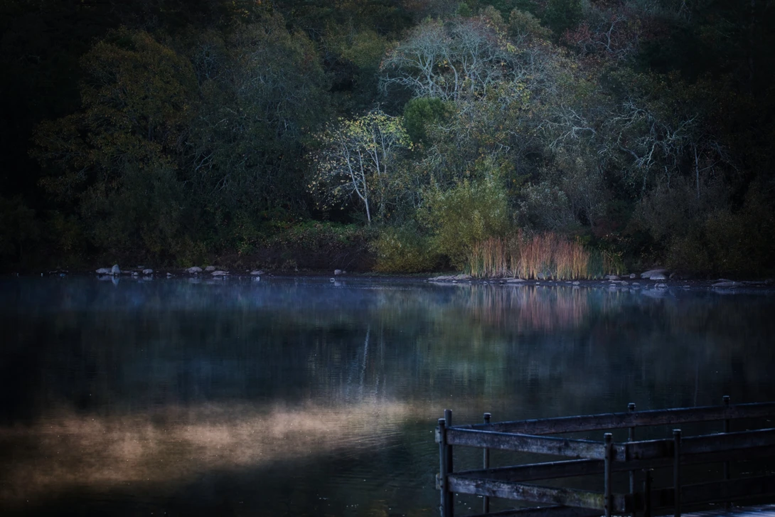 View f3a52e0cfb092d2dd32e323ad1159898.jpg by Ray Zee