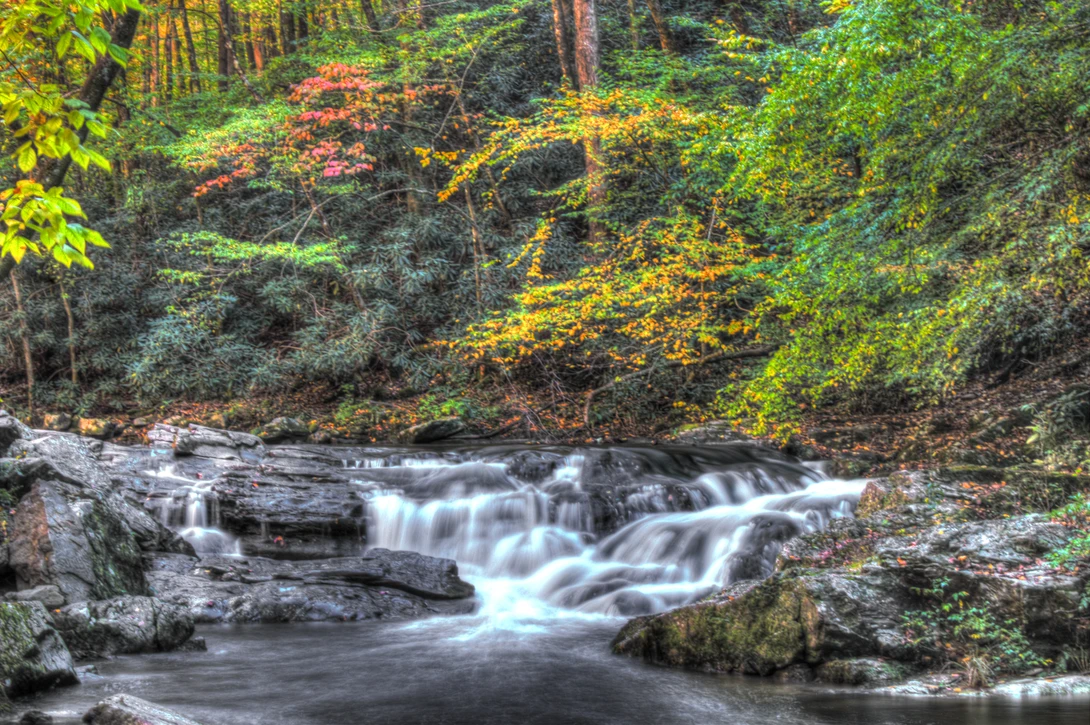 View f9ce09bb3dd77fb48ff585578b91d5e8.jpg by James Stephenson