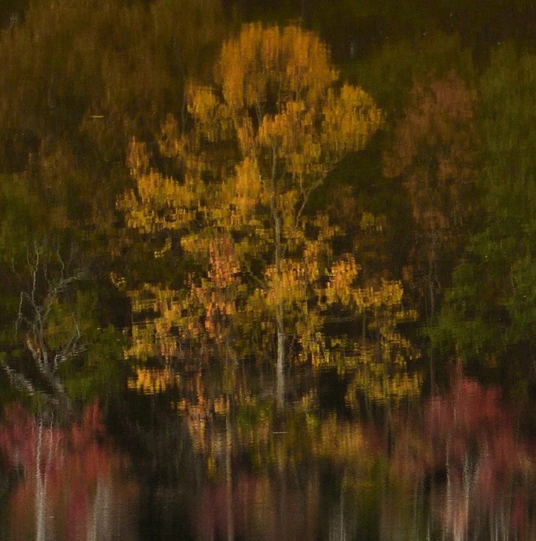 View 24c131d4e46c5b2306837e1b6891e6db.jpg by William Hunter