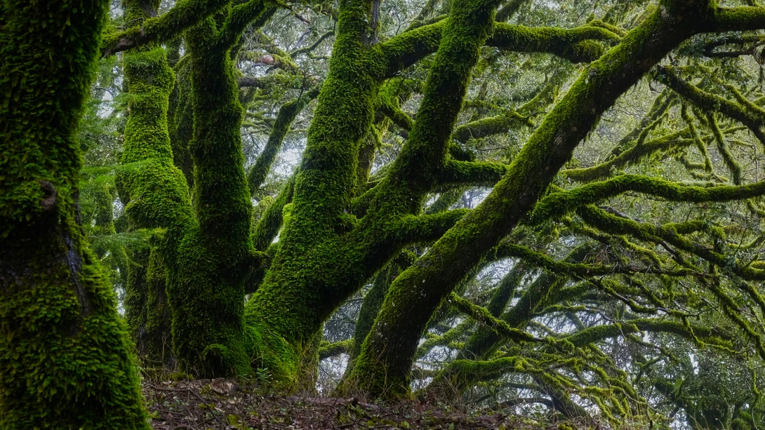 View 24c6315c1cd348d67b83e02823f4a2fa.jpg by Ray Zee