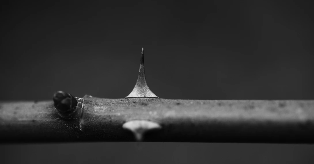 View 327a3712c4e9a71196715fd40884cec5.jpg by Nathan Ruby