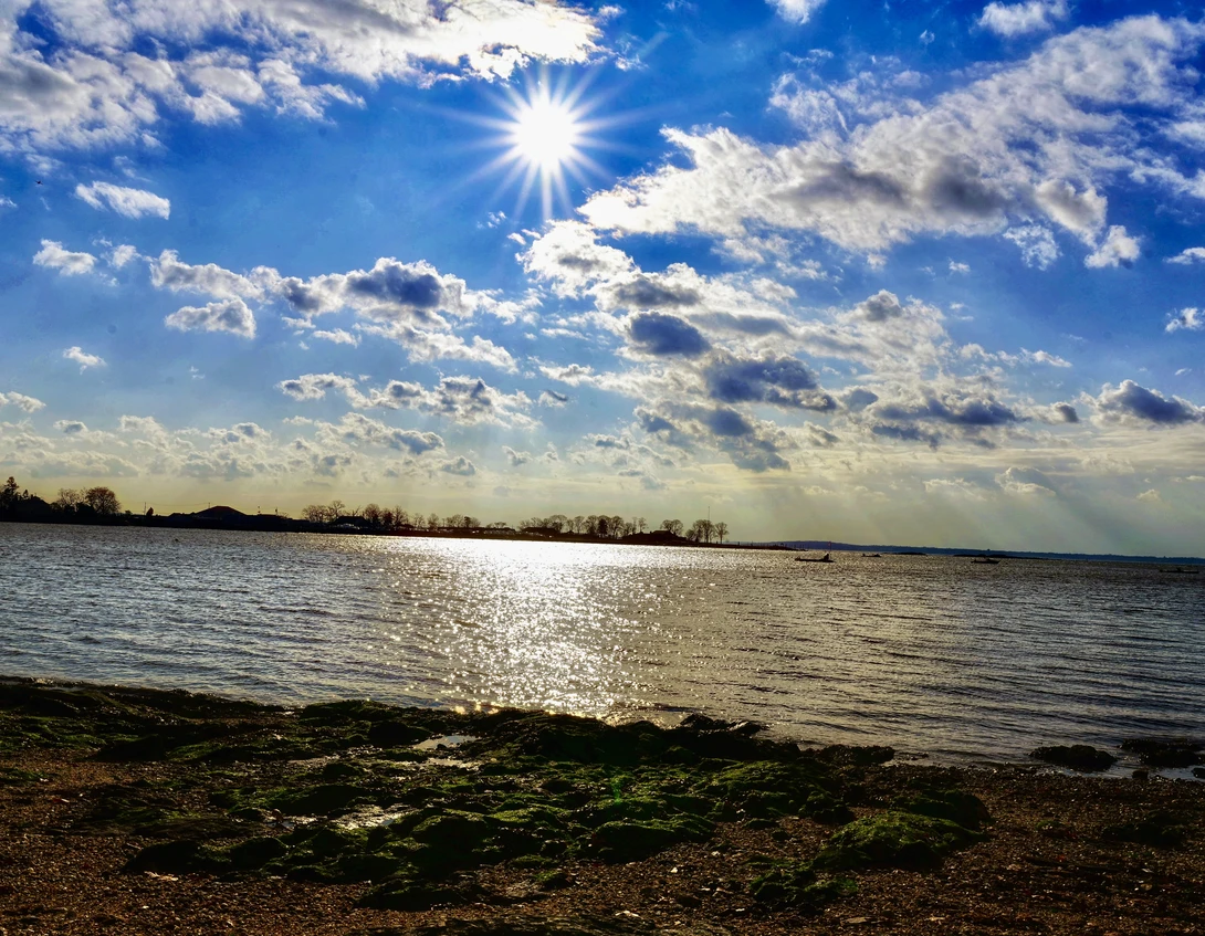 View 4f69fd2a1788e3541c76839aa33c0252.jpeg by Sridhar Chilimuri