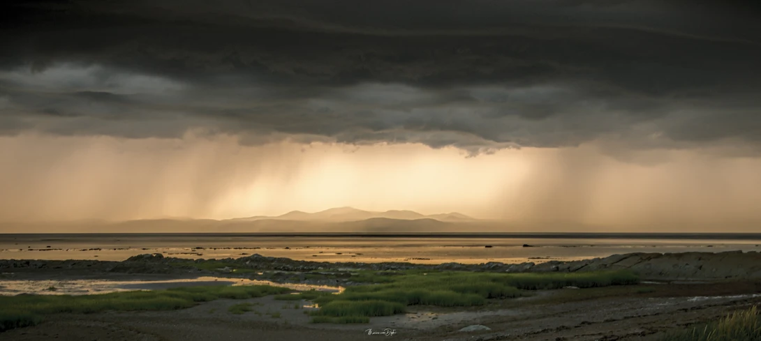 View 6221847df13a1729588d40849624496c.jpg by marius van dyk