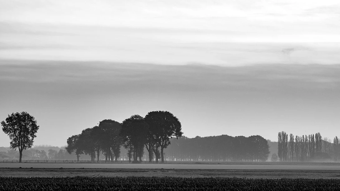 View 7483a2cb8e5710627a30010010e80801.jpeg by Mik Pol