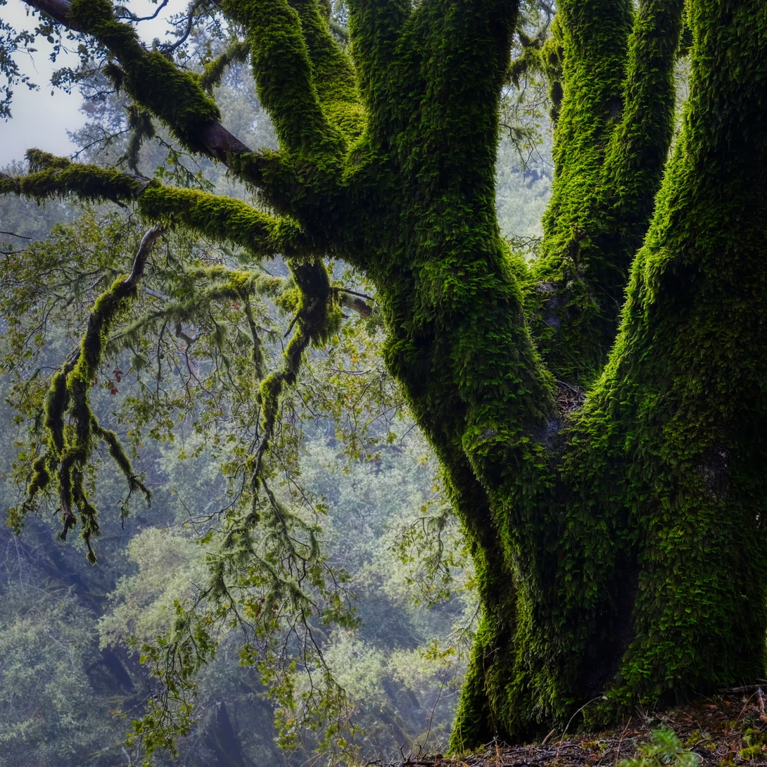 View 806898400a09a0c89c0e6bdf31b1ba1b.jpg by Ray Zee