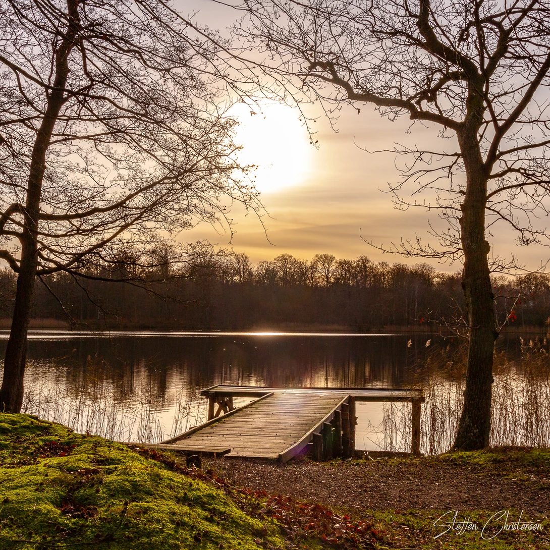 View 1st. of december in a forest by Steffen Christensen