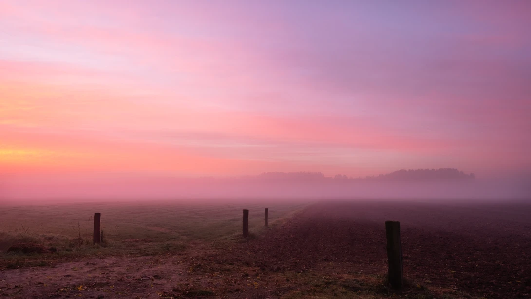 View 9852e49dbf757f6a4cf53be06d6db780.jpg by Erik Graumans