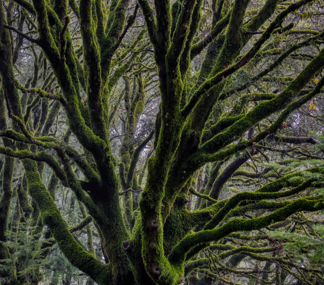 View a86d7c84a434d2641f6ac12e8d0a059b.jpg by Ray Zee