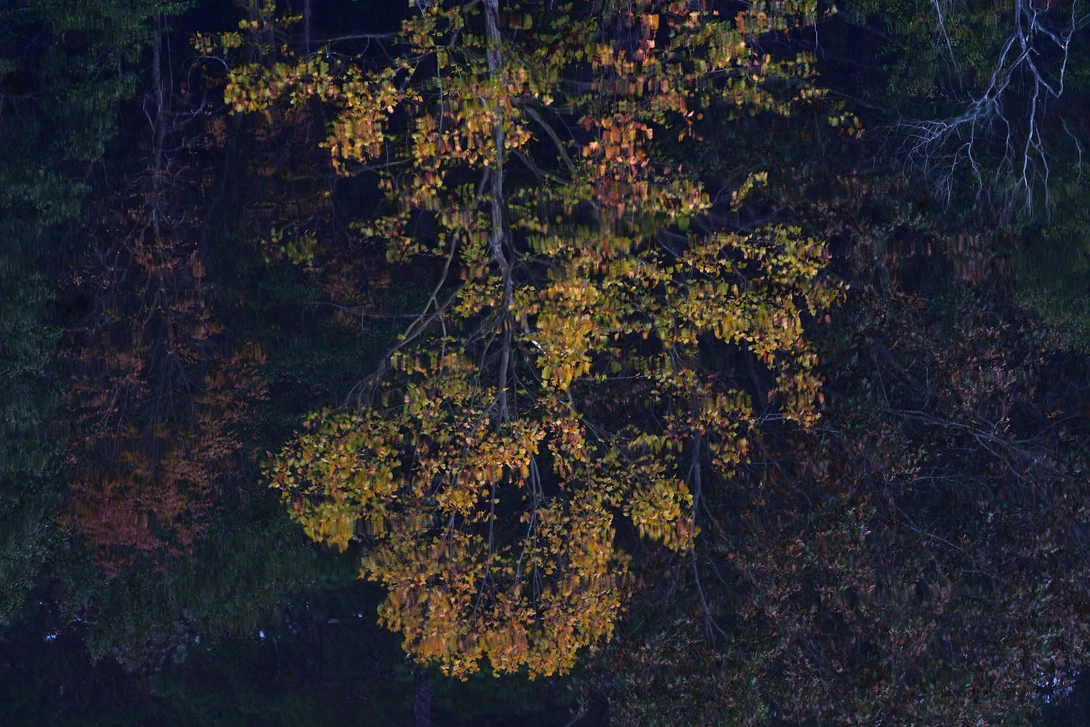 View ad7a023fac4112a161d76f38d4652da1.jpg by William Hunter