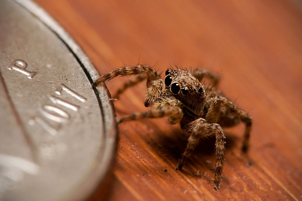 View aff9c2d32933793ea359e92daa82c224.jpg by Troy Straub
