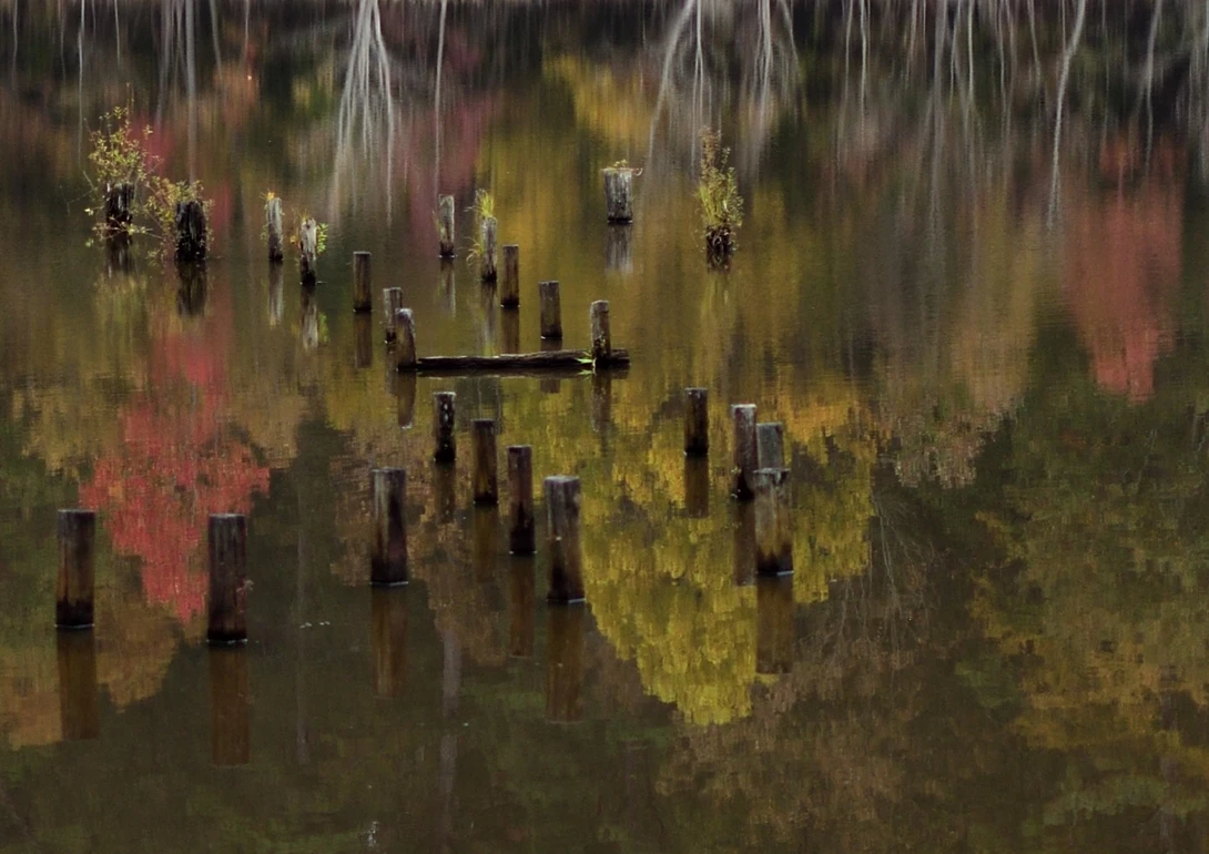 View Piling and Reflections by William Hunter