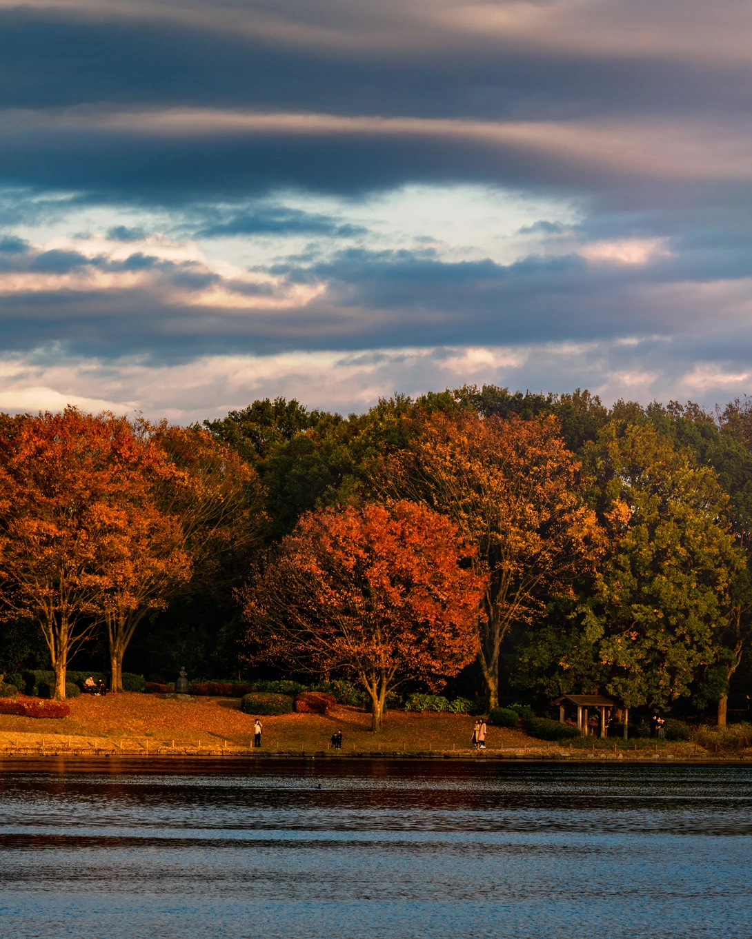 View bfef6019a71eadca6ab56b00bad3d597.jpg by Jordan McChesney