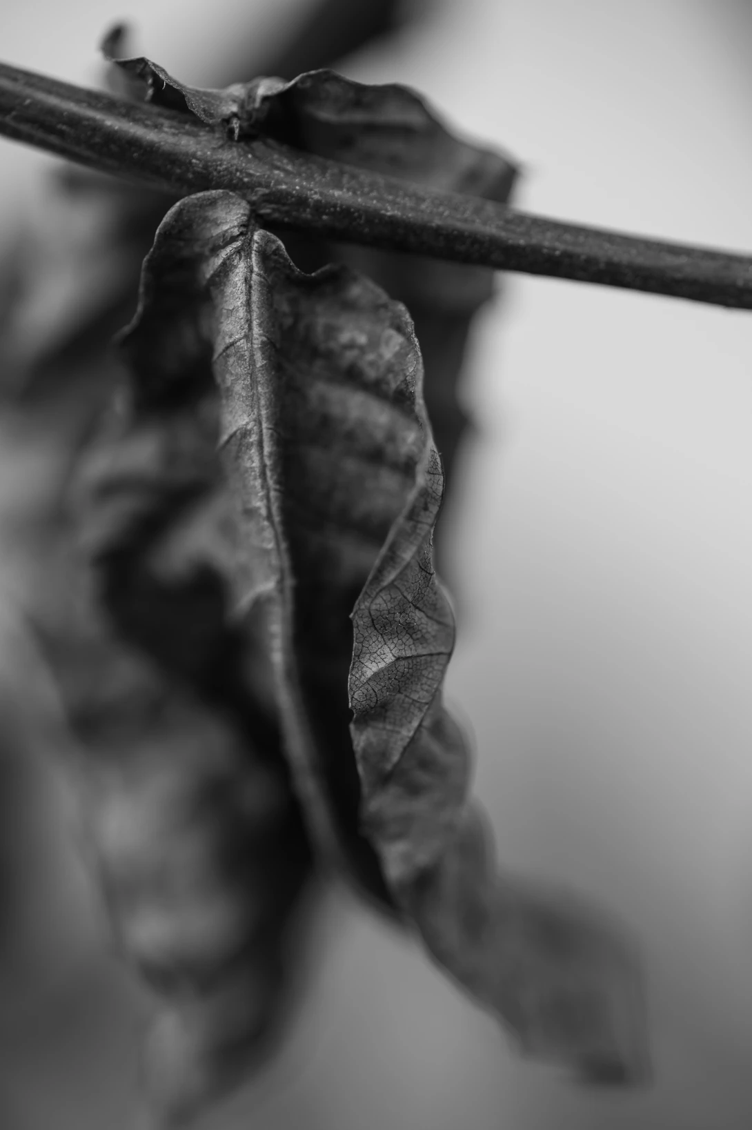 View dc0f4cdf0c02b3d33957a8f3ec731539.jpg by Nathan Ruby