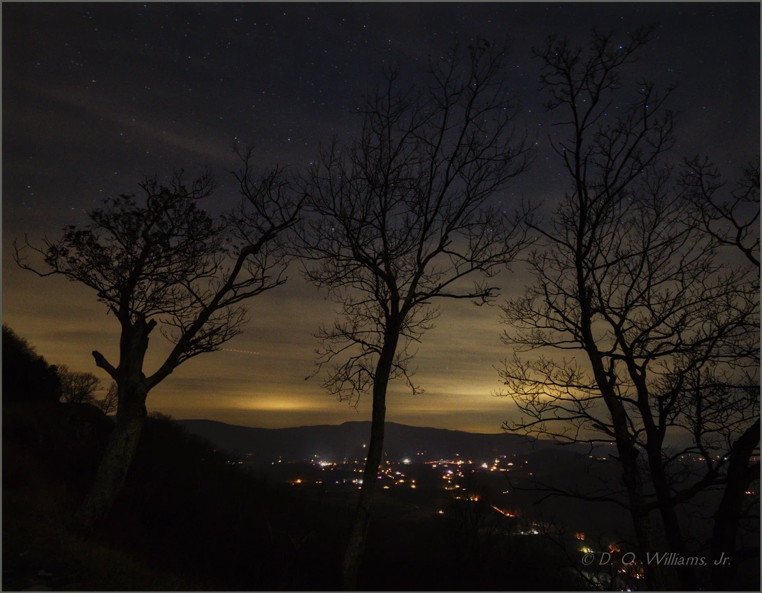 View e3f05519b1ee02d5715978694c2351f3.jpg by Willy Williams