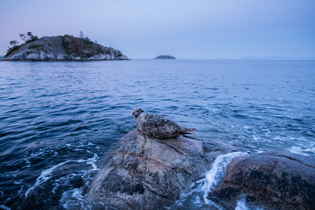 View f264e19b049e13824382b2dd007a521e.jpg by Jaspreet Sidhu