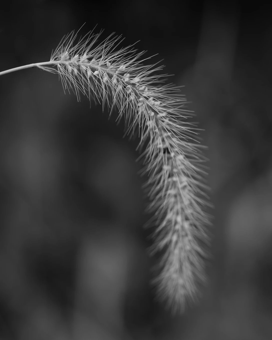 View f2fc8d55c12ec2d576862e76d07a4052.jpg by Nathan Ruby