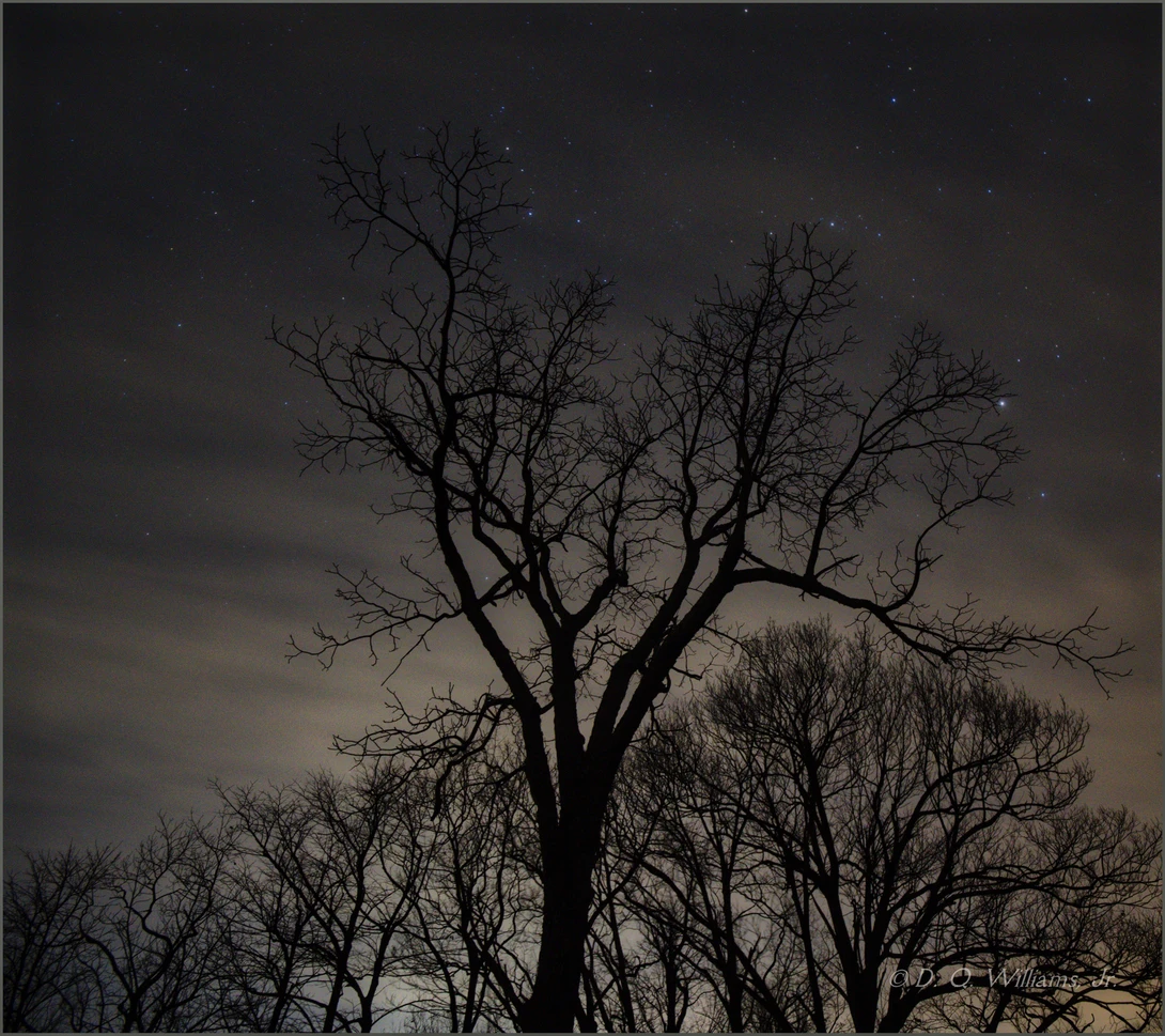 View fc53e9f6c80d4770cf08d6f5e3080675.jpg by Willy Williams