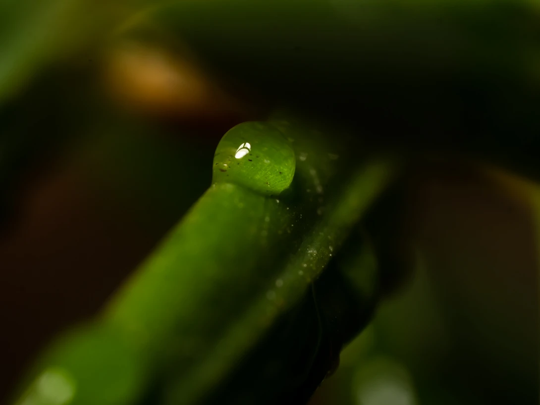 View 170c051e8eef499e68c5ab9ddebebb1d.jpg by Troy Straub
